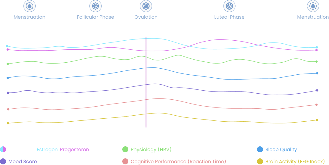 Menstrual cycle chart showing hormones, physiology, sleep, mood, cognitive performance, and brain activity across cycle phases
