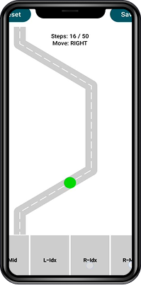 Cognitive Function & Executive Processes — Spica app task screen 3